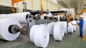 Triển vọng ngành Pulp and Paper - Bột giấy và giấy Việt Nam